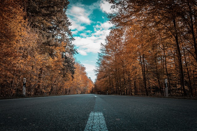 Hurá za dobrodružstvom – Roadtrip